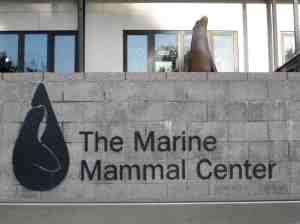 The Marine Mammal Center entrance.