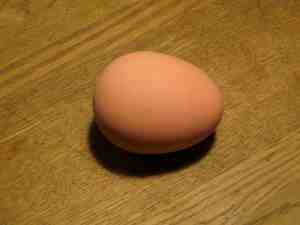 The size and feel of an egg, but it's actually an egg-shaped superball!