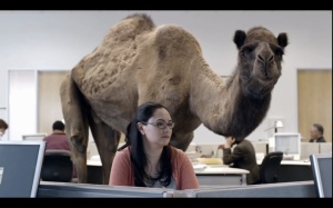 Happy Hump Day from Geico.