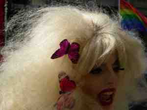 Butterflies aren't free.