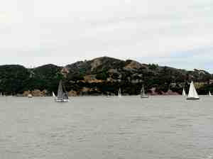 Angel Island with (possibly) pigeon-free sailboats in foreground.