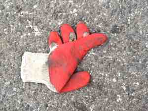 Lucky glove in street.