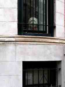 Not to be confused with this furry friend who is surely wondering, "When is my tree getting here?"