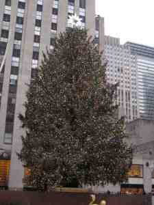 85 foot 27 ton Norway Spruce attention whore in Rockefeller Center.