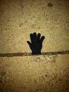 Waving goodbye to its mate.