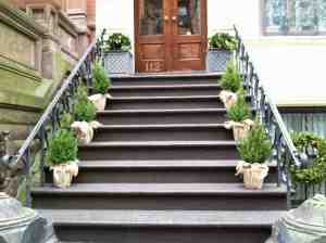 Nice display of stoop trees, but anyone needing to hold onto the banister is out of luck.