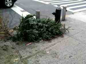 Asshat New Yorker-style Christmas tree disposal.