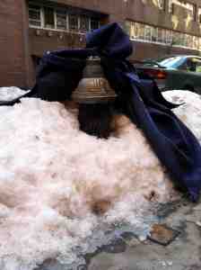 My block's hydrant: buried in its own blizzard with a furniture blanket as accent.